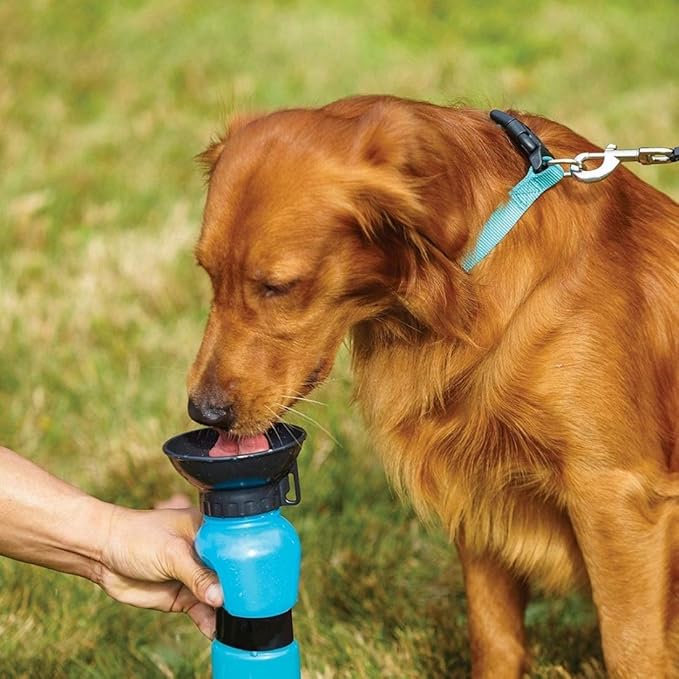 Pet Essentials